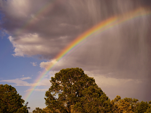 FChannels_'s profile picture. 