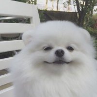 𝗆 (@__h27_) 's Twitter Profile