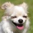 Yoshiko Shiozawa's Twitter (X) avatar