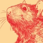 Cellar Rats (@getcellarrats) 's Twitter Profile