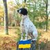 Cinkencer💙🌊🇺🇸🌊🇺🇦🇺🇸🇺🇸🇺🇸🇺🇸 (@cinkencer) Twitter profile photo Cinkencer💙🌊🇺🇸🌊🇺🇦🇺🇸🇺🇸🇺🇸🇺🇸 (@cinkencer) Twitter profile photo