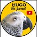Hugo the Parrot (@hugotheparrot) Twitter profile photo