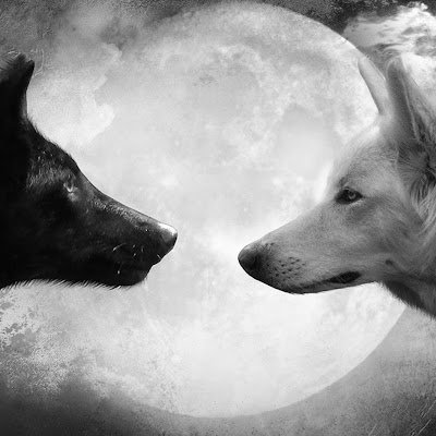 MeakesBret54275's profile picture. 