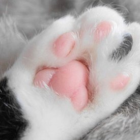 Mika1024_2's profile picture. 