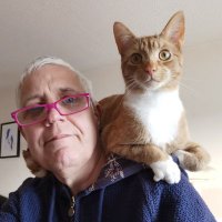 Carol * 🏴 (@maviscruet) 's Twitter Profile