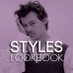 Harry Styles Lookbook (@styleslookbook) Twitter profile photo