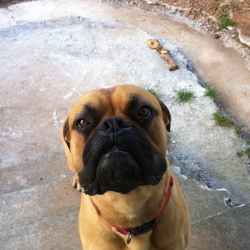 chilloutman72's profile picture. Life is short so smile