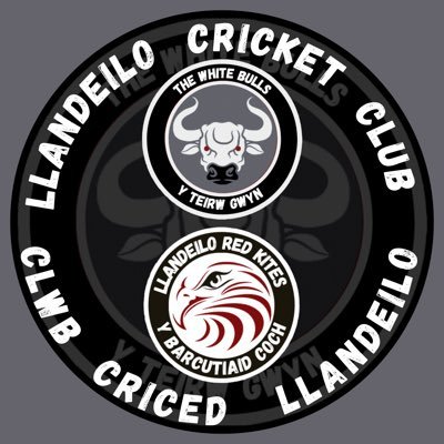 LlandeiloCC Profile Picture