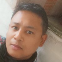 Shiba inu craze (@akashdeepbarua8) 's Twitter Profile