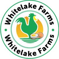 Whitelakefarms (@whitelakefarms1) 's Twitter Profile
