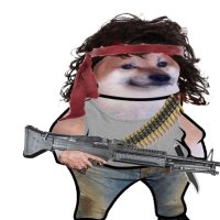 Gandhi aka John Rambo #NAFO (@ghandi28180788) 's Twitter Profile