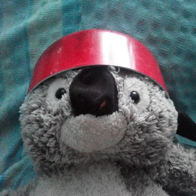 koalesanaj's profile picture. https://t.co/TOMWNxU6Fc