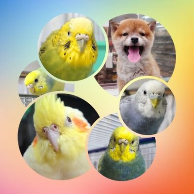 𓄿𓅓𓅱さんのプロフィール画像