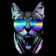 latesumstad's profile picture. Ambassador, cryptoinfluencer