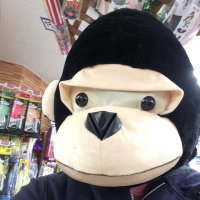 さわゆう (@sawa_u_vg) 's Twitter Profile