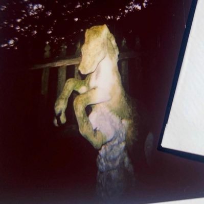 idiosyncra_sie's profile picture. 