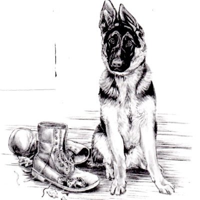 David_MCDoc8424's profile picture. 