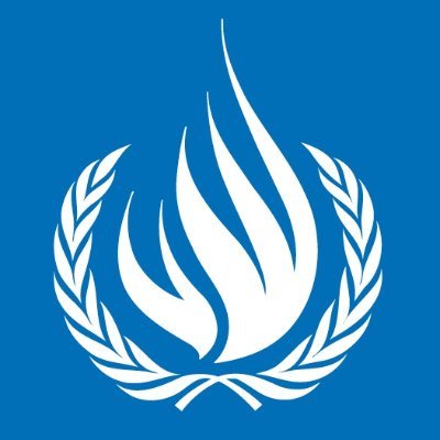 ONU Derechos Humanos - América del Sur Profile