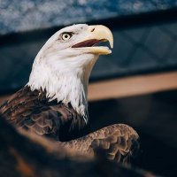 ولید جان (@mohamma59361884) Twitter profile photo