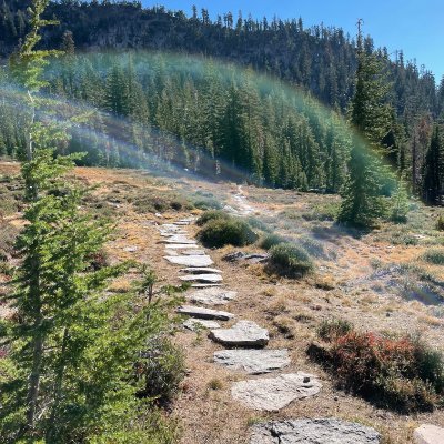 kimraejones's profile picture. 