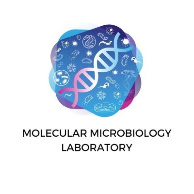 Molecular Microbiology Laboratory @MountSInaiNYC