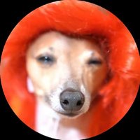 Peach In a Wig 💫 (@peach_in_a_wig) 's Twitter Profile