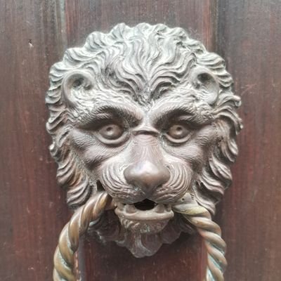 C'est un heurtoir en forme de lion à Venise et il n'est plus là, retrouvez-le chez les papillons bleus