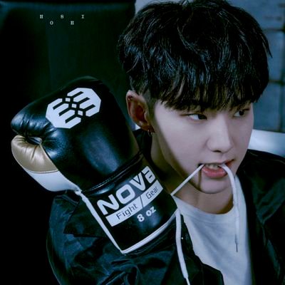 -obsessed with cute things especially Kwon Soonyoung's cheeks šÆ
