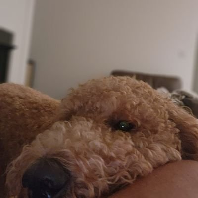 ArthurM476's profile picture. 