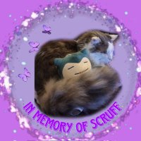 Snorlax the Great and Perpetually Exhausted (@unamusedsnorlax) 's Twitter Profile Photo Snorlax the Great and Perpetually Exhausted (@unamusedsnorlax) 's Twitter Profile Photo