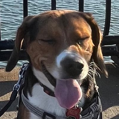 poedarican's profile picture. talking to myself