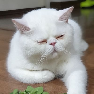 18 yrs stroke caregiver.
งานอดิเรก : ตกปลาในอ่าวไทย เลี้ยง Microbes ในบ้าน
งานประจำ : กิน กิน แล้วก็กินแบบจำกัดเวลาค่าาา