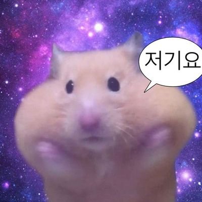 hhoneyblacktea's profile picture. 