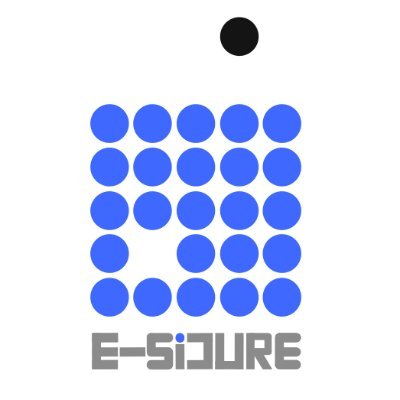 e_sicure Profile Picture