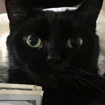 phouwasit_pnk's profile picture. nah (คาร์ตอบห้วน)