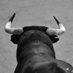 TSXVPicks (@bulltwits_) Twitter profile photo TSXVPicks (@bulltwits_) Twitter profile photo
