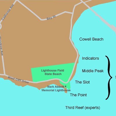 vicunamatata's profile picture. 