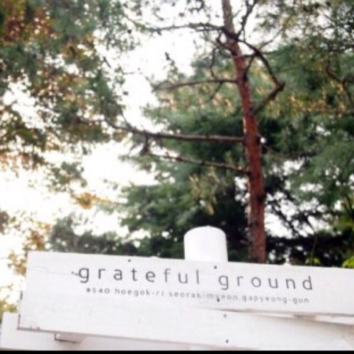 cafeGG's profile picture. 