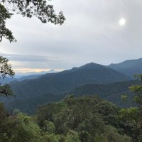 USFQ - Tandayapa Cloud Forest Station(@Tandayapa_USFQ) 's Twitter Profile Photo