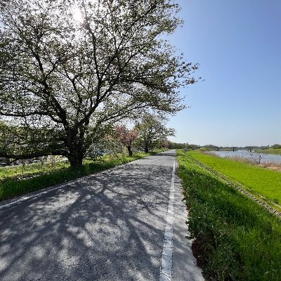 大好きな土浦と茨城県内や地方で楽しく暮らせる相手を探しつつお茶お散歩仲間も追加しながら生活や地域情報を発信しています
独自調査や解析、それを基に戦略提案、ブランディングから勝てる選挙等広報戦略展開等コンサルも請負います
ステルスマーケティング等対応用に名前に(PR)付与します
東からの風が好きです。西の広い夕景好きです