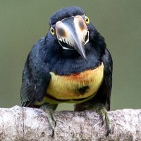 Sean W Burges (@seanwburges) 's Twitter Profile Photo Sean W Burges (@seanwburges) 's Twitter Profile Photo