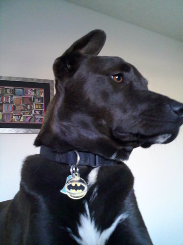 Lvethabeach81's profile picture. 