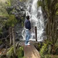 taigeer (@ocapperez) 's Twitter Profile Photo