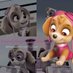 Hello!! (@pawpatrolskye2) Twitter profile photo Hello!! (@pawpatrolskye2) Twitter profile photo
