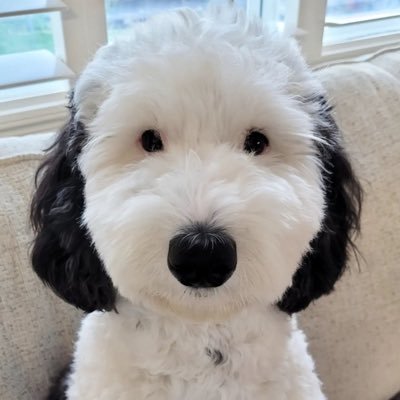 DuncanUK45's profile picture. 