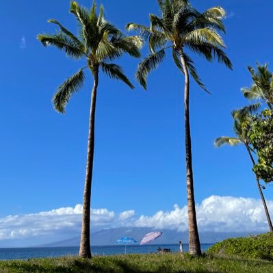 ZLbd20's profile picture. 