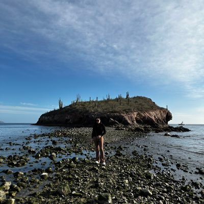 scarolinaop's profile picture. 