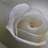 fmhr20's profile image