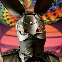 Black Rabbit(@KingBlackRabbit) 's Twitter Profile Photo