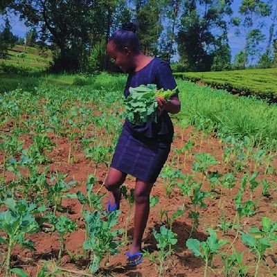 Be better not bitter
God above all
#Agribiz
#Women in Agriculture